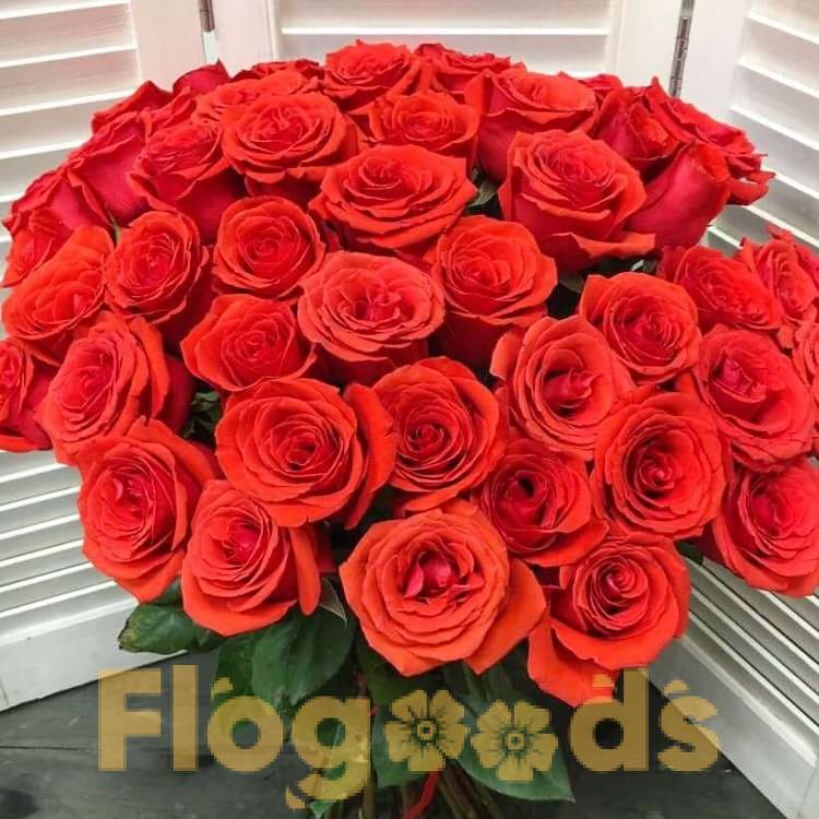 51 красная роза за 19 556 руб.